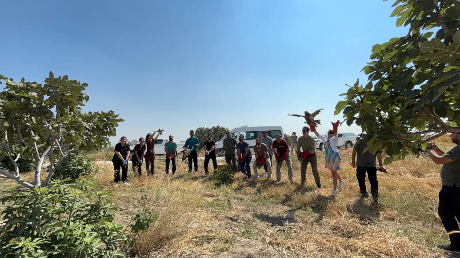 HMKÜ'de Tedavisi Tamamlanan Yabani Kuşlar Alahan'da Doğaya Bırakıldı