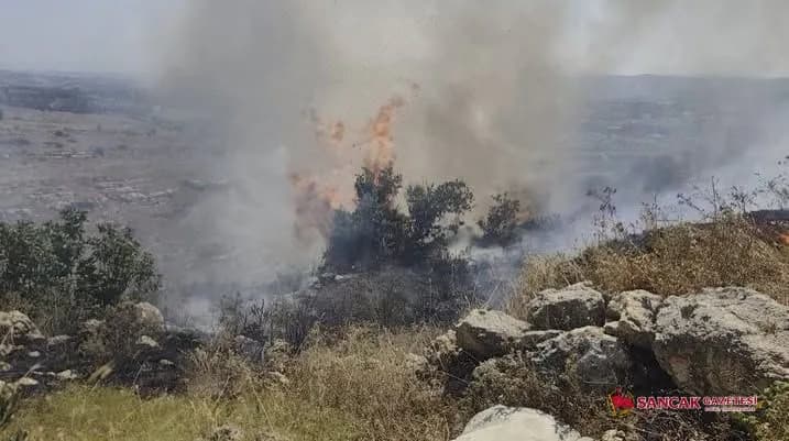 Defne’de Ağaçlık ve Makilik Alan Yangını Büyümeden Söndürdü