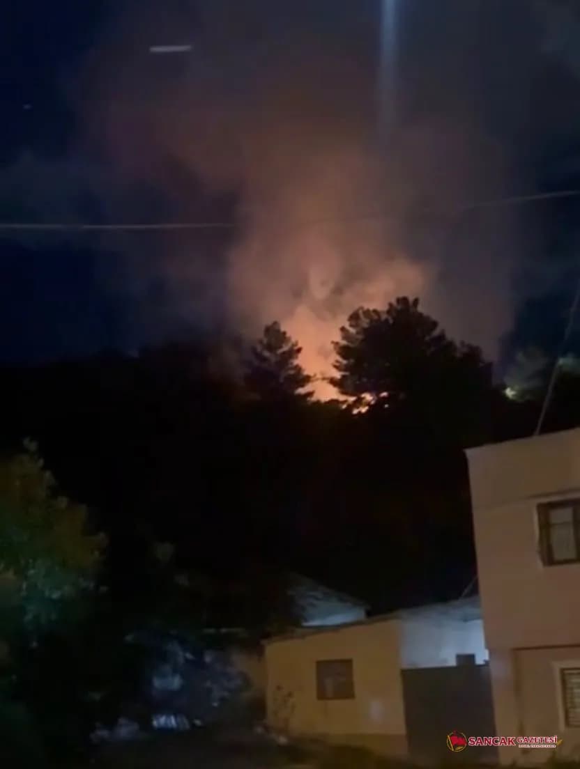 Arsuz’da Orman Yangını Çıktı
