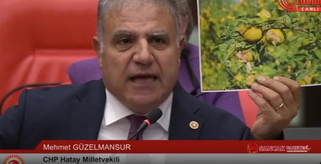 Güzelmansur: “Arsuz’da afetin faturası çiftçiye ve esnafa bırakılmamalı”
