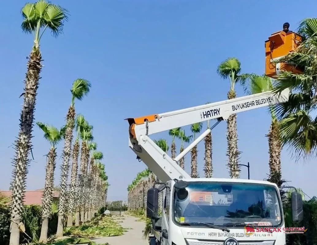 Reyhanlı’da Çevre Düzenleme ve Temizlik Seferberliği