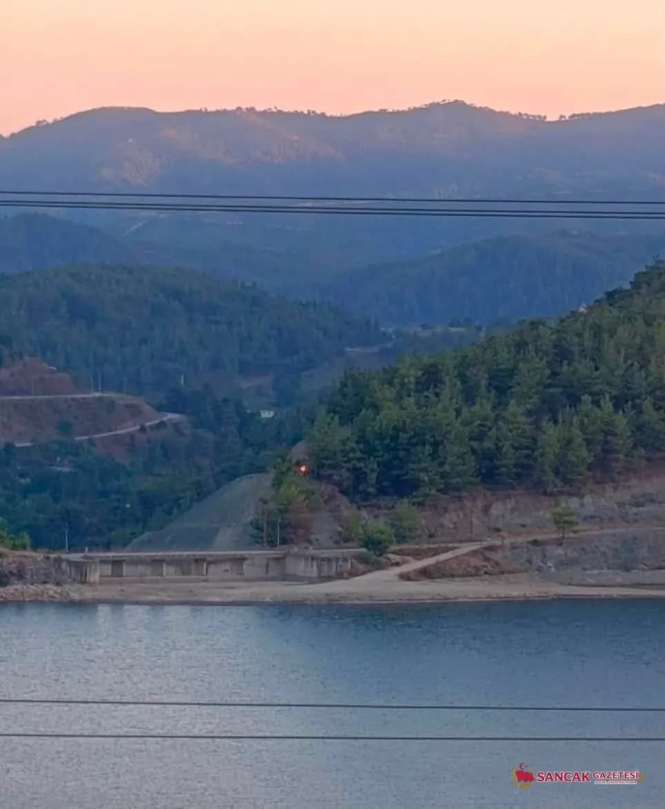 Yayladağı’nda Orman Yangınına Hızlı Müdahale