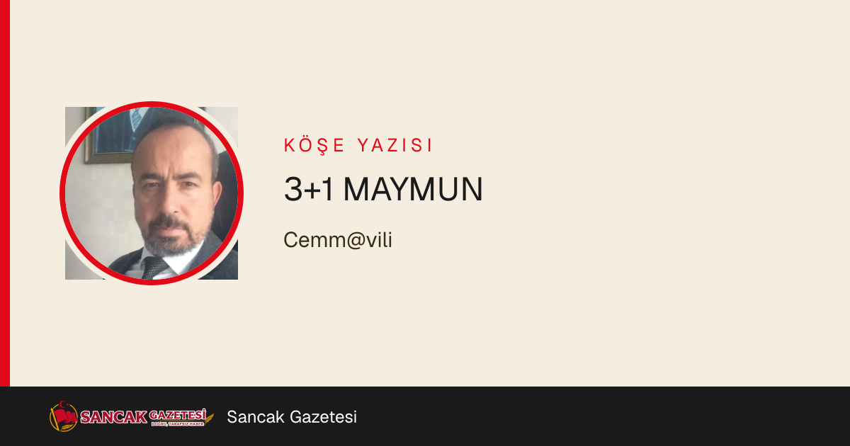 3+1 MAYMUN